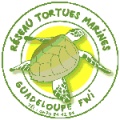 membre réseau tortues marines guadeloupe