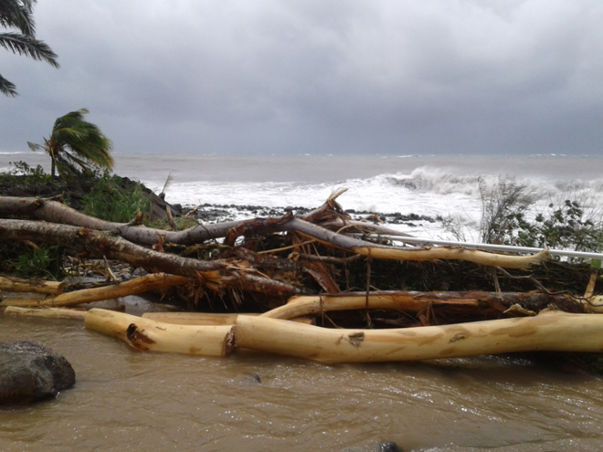 Video of the The Cousteau reserve after hurricane Maria’s visit Video of the The Cousteau reserve after hurricane Maria’s visit