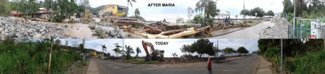 Video of the The Cousteau reserve after hurricane Maria’s visit