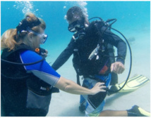 PADI SCUBA DIVER COURSE