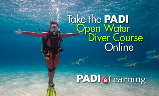 PADI OPEN WATER COURSE PADI OPEN WATER COURSE