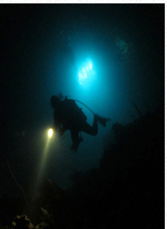 Night Dive Adventure