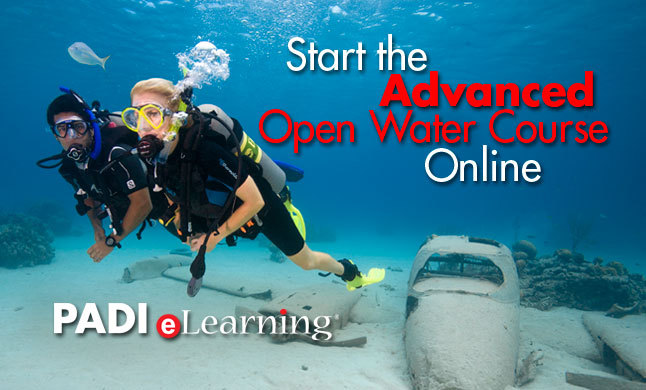 Adventures in diving e-learning option