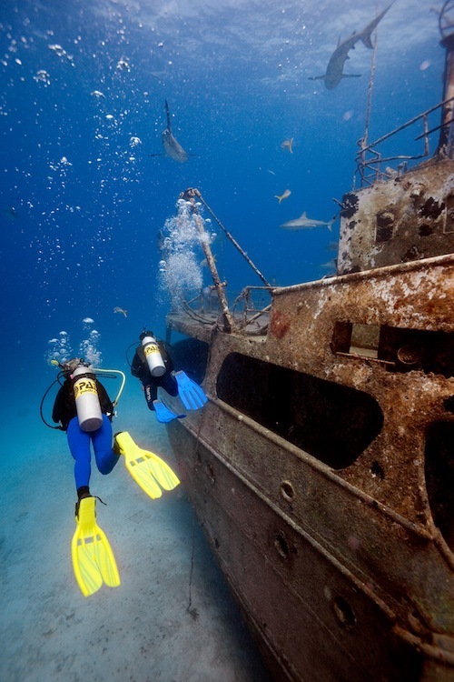 Wreck dive Guadeloupe