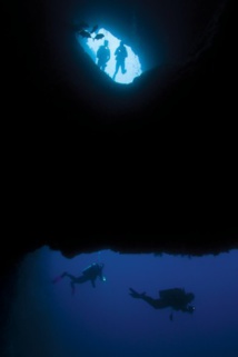 Night Dives Guadeloupe Night Dives Guadeloupe