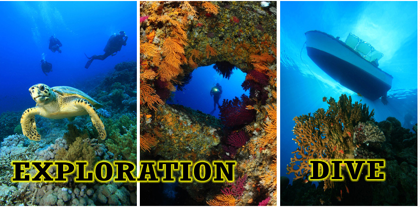 Exploraciones en Guadeloupe para principiantes y apasionados del buceo que creen haberlo visto todo! Exploraciones en Guadeloupe para principiantes y apasionados del buceo que creen haberlo visto todo!