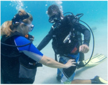 PADI Suba Diver Kurs PADI Suba Diver Kurs