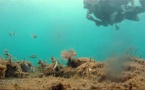 LES VIDEOS  - ATLANTIS TV  - LES VIDEOS  - ATLANTIS TV  -