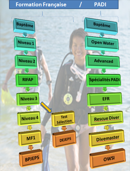 étapes de formation moniteur de plongée étapes de formation moniteur de plongée