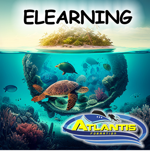 Vos fiches révisions Niveau 4 et 1 QCM d'entraînement Vos fiches révisions Niveau 4 et 1 QCM d'entraînement