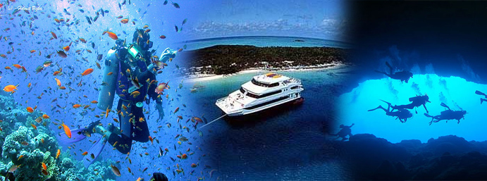 Et si vous étiez payé pour voir le monde ? Et si vous étiez payé pour voir le monde ?