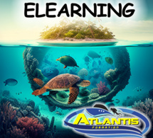 Vos fiches révisions Niveau 4 et 1 QCM d'entraînement Vos fiches révisions Niveau 4 et 1 QCM d'entraînement