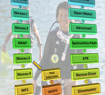 Comment devenir moniteur de plongée (étape par étape) Comment devenir moniteur de plongée (étape par étape)
