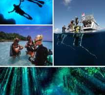 La vie de moniteur de plongée : C'est comment exactement ? La vie de moniteur de plongée : C'est comment exactement ?