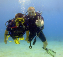 L'employabilité d'un BP Plongée (mise à jour avril 2017) L'employabilité d'un BP Plongée (mise à jour avril 2017)