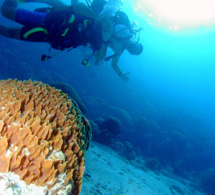 Présence des stagiaires MF1 dans les SCA Présence des stagiaires MF1 dans les SCA