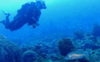 FORMATION IDC PADI - du 11 au 23 octobre 2022