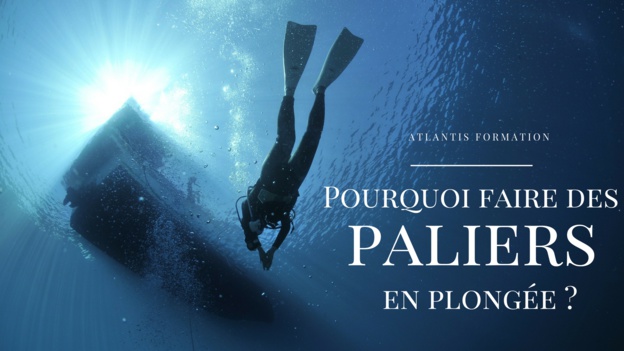 Pourquoi faire des paliers en plongée ? Pourquoi faire des paliers en plongée ?
