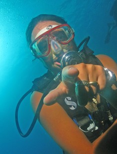 Le Jardin de Corail, petit coin de paradis  sous la mer, menacé