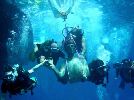 Découvrez la réserve Cousteau, sa faune et sa flore marines exceptionnelles !