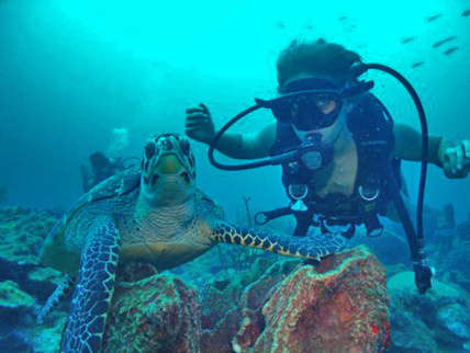 Réserve cousteau guadeloupe