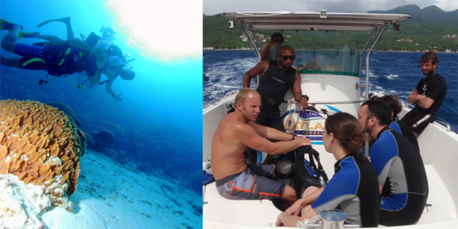 Baptême plongée Guadeloupe, laissez vous guider en toute sécurité dans le monde du silence Baptême plongée Guadeloupe, laissez vous guider en toute sécurité dans le monde du silence