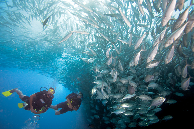 scuba diving Guadeloupe