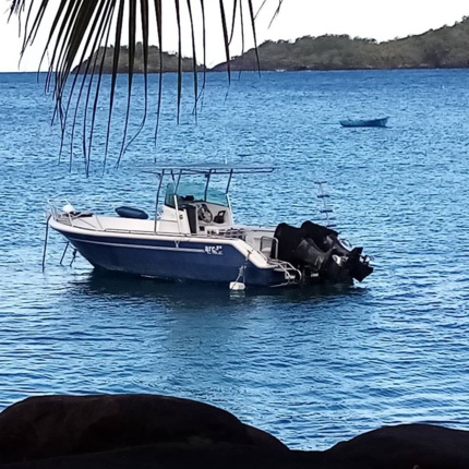 Août 2021 : Plongée et confinement en Guadeloupe