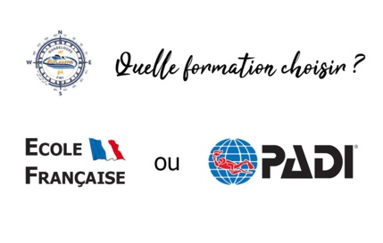 Comprendre les différences entre les niveaux de l'école française et les niveaux PADI proposés par Atlantis Formation Comprendre les différences entre les niveaux de l'école française et les niveaux PADI proposés par Atlantis Formation