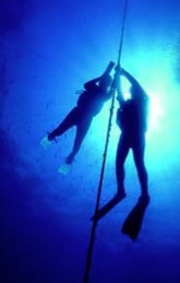 NIVEAU 2 : Devenez Plongeur Autonome à 20 mètres (PA20)  et plongeur encadré à 40 mètres (PE40)  avec Atlantis Formation Guadeloupe