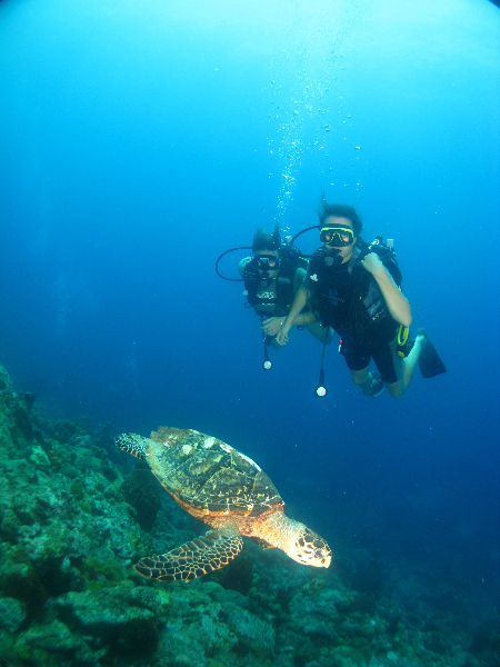 Le NIVEAU 3 : Plongeur Autonome jusqu' à 60 mètres (PA60)  avec Atlantis Formation Guadeloupe Le NIVEAU 3 : Plongeur Autonome jusqu' à 60 mètres (PA60)  avec Atlantis Formation Guadeloupe