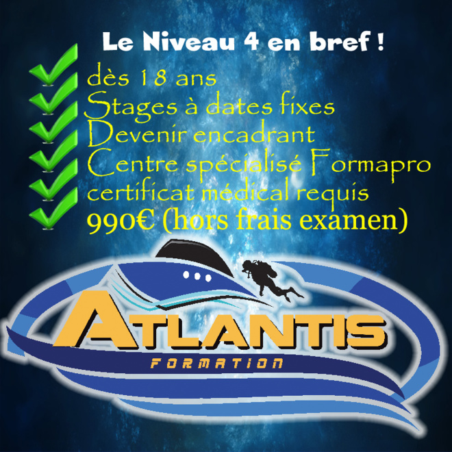 Formation NIVEAU 4 plongée : Guide de Palanquée avec Atlantis Formation Guadeloupe.