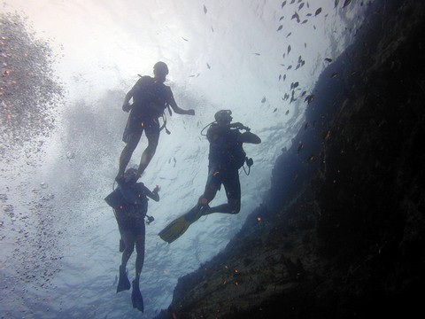 Formation NIVEAU 4 plongée : Guide de Palanquée avec Atlantis Formation Guadeloupe.