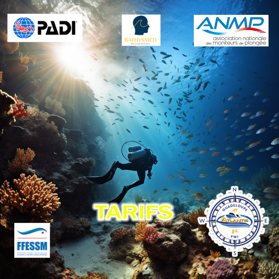 Tarifs Exploration / Baptême / Formation plongée Guadeloupe à Atlantis