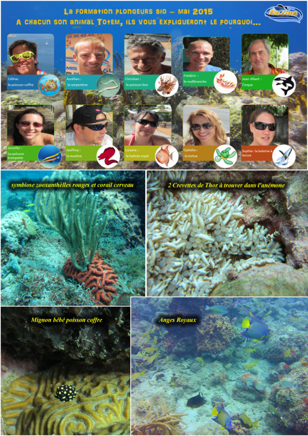 Formation Bio plongée Guadeloupe Atlantis Formation Bio plongée Guadeloupe Atlantis