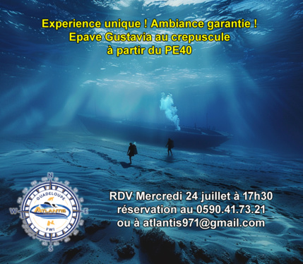Plongée Crépusculaire sur l'épave le Gustavia ! Plongée Crépusculaire sur l'épave le Gustavia !