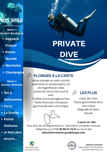 Article n°197 Article n°197