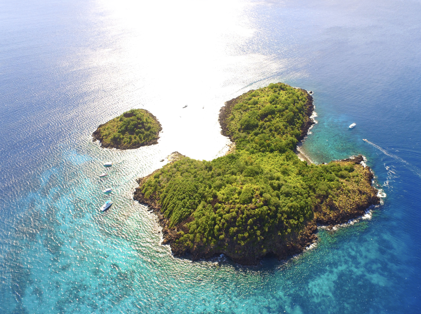 Confinement: quels bienfaits pour la Réserve Cousteau ? Confinement: quels bienfaits pour la Réserve Cousteau ?
