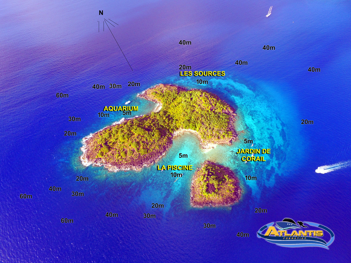 Réserve Cousteau Plongée Guadeloupe