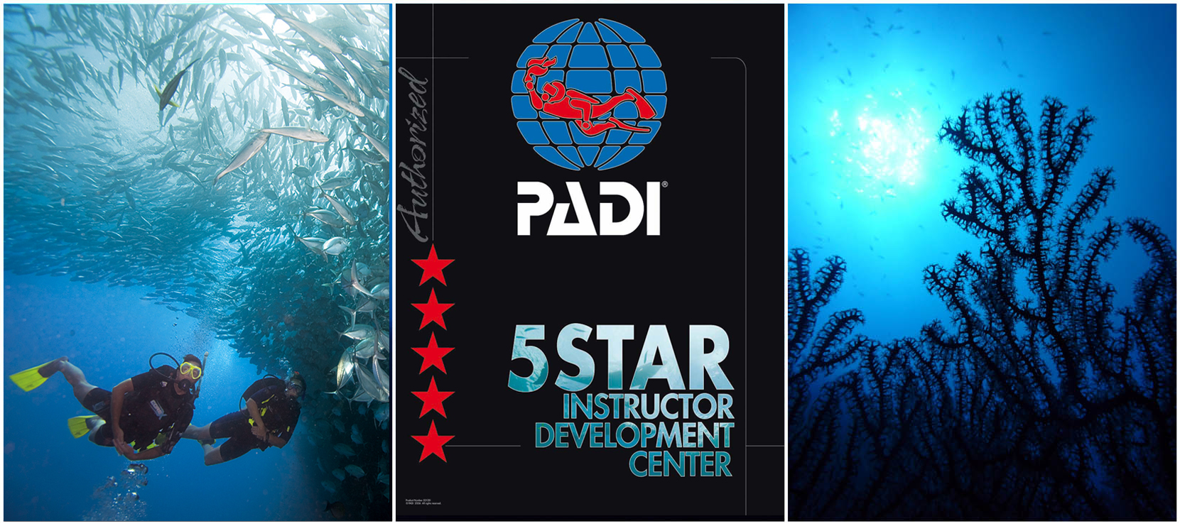 Padi Open Water Course