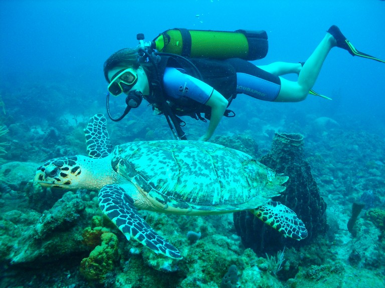 Devenez Plongeur Autonome, avec Atlantis Formation Guadeloupe