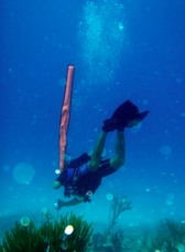 Le NIVEAU 3 : Plongeur Autonome jusqu' à 60 mètres (PA60)  avec Atlantis Formation Guadeloupe