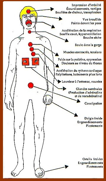 schéma récapitulatif des symptômes