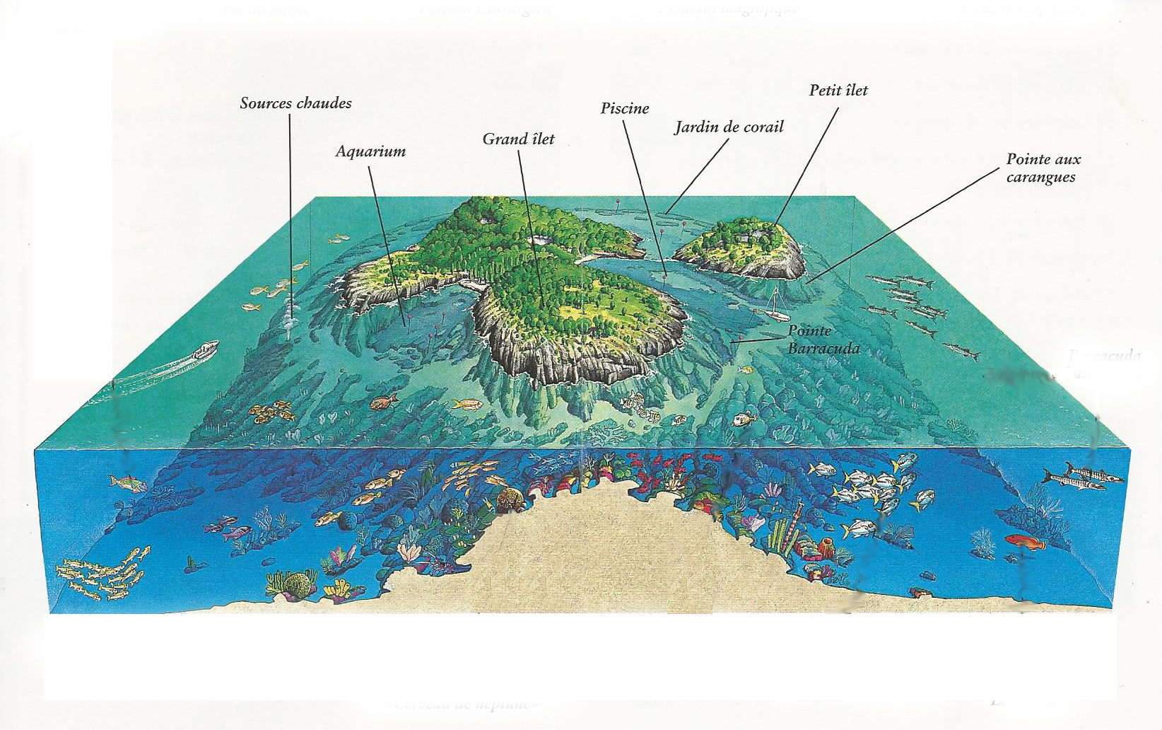 Réserve Cousteau plan des sites