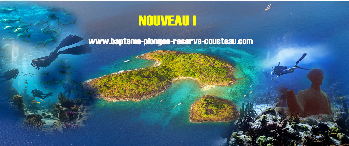 Tout sur le Baptême de plongée en Guadeloupe dans la Réserve Cousteau