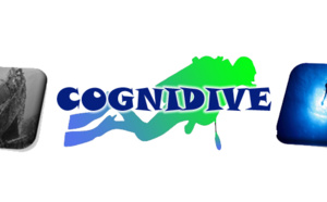 CogniDive : la plongée pour soigner le stress post-traumatique chez les militaires