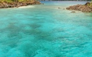 Bouillante, faites des bulles dans la capitale de la plongée en Guadeloupe