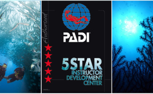 Passer votre PADI Open Water en Guadeloupe avec Atlantis Formation