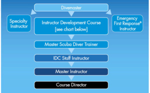 Passer votre PADI Instructeur de Spécialité et votre MSDT en Guadeloupe avec Atlantis Formation