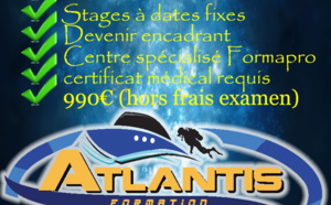 Formation NIVEAU 4 plongée : Guide de Palanquée avec Atlantis Formation Guadeloupe.